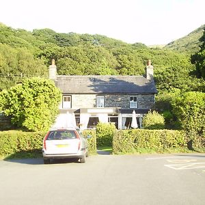 The Dolgoch